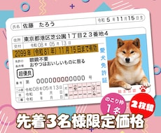 本物そっくり！ペットのオリジナル免許証を作ります 嬉しい2枚セット！丈夫なプラスチック製オリジナルペット免許証