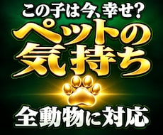 ペットの気持ち｜犬・猫・動物全般を龍王が霊視します ペットの本当の気持ち・家族への想い・今望んでいること