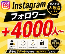 Instagramフォロワー＋4000人増やします イメージ1