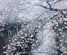 キャリアや職場環境等に対する不安や相談応じます イメージ1