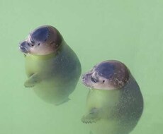 あなたの相談にのります イメージ1