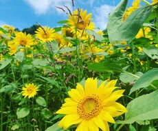 子育ての悩み聞かせてください！一緒に考えていきます イメージ1