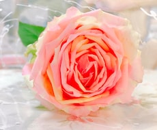 あなたの暇つぶしにお付き合いします イメージ1