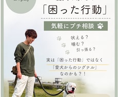 あなたの愛犬の困った！を紐解きます イメージ1