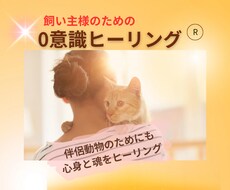 飼い主様専用☆0意識ヒーリング®でヒーリングします ☆☆ライトコース☆☆になります