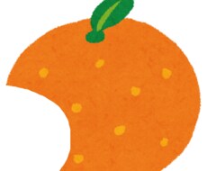 GNSS測量機データを変換いたします イメージ1