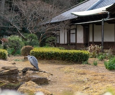 神奈川│プロカメラマンによる写真撮影代行します イメージ1