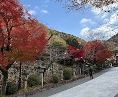 お話してらくになって頂けるよう頑張ります イメージ1
