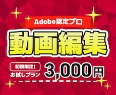 Adobe認定プロが高品質な動画編集を提供します SNS動画・PR映像お任せください。初回3,000円!