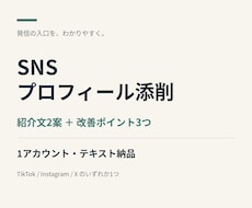 SNSプロフィールを伝わる文章に整えます イメージ1