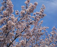 恋愛話､悩み事､相談事etc...色んな話聞きます イメージ1