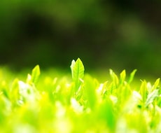 自己啓発で結果が出なかった人向けにコーチングします イメージ1