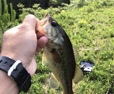 貴方のフィッシングライフの始まりをサポートします イメージ1