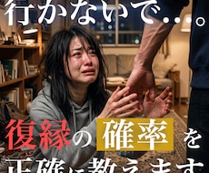 片思い・復縁【心理分析】成就の可能性を最大化します 心理分析と行動プロファイリングで複雑な恋の突破口を見つけ出す