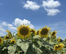 恋バナ、恋愛相談、愚痴なんでも聞きます イメージ1