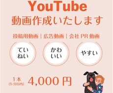 YouTube動画作成いたします リール投稿用動画｜商品PR　等々