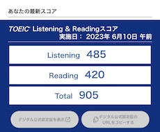 あなたの英語学習オリジナルカリキュラムを作成します 【もう挫折させません】現外資系勤務の元語学コンサルがサポート