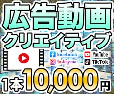 ダイレクト広告向け動画クリエイティブを制作します イメージ1