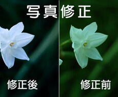 写真の明るさ・色修正・シワ消し・体型修正等をします イメージ1