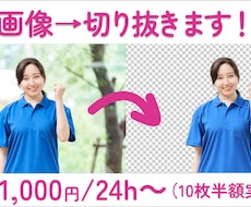 面倒な画像切り抜きを代行します Photoshop未契約でも安心♪.pngによる切り取り納品
