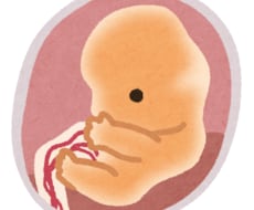 出生前診断、着床前診断の相談に乗ります 【遺伝診療認定医】NIPT、コンバインド検査、PGT など