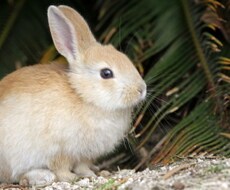 周りに言えない悩みとか誰にも言えない話聞きます あなたの心の内側にあるものを誰かに聞いてほしいあなたへ