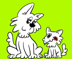 個性を表現！うちの子を動きあるキャラクターにします イメージ1
