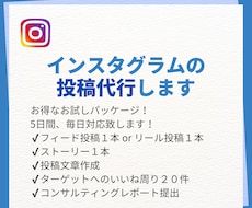 お試しプラン！Instagramの投稿代行します 丸投げで毎日投稿を実現！面倒な投稿作業を代行いたします！