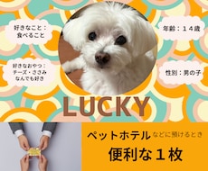 ペットのプロフィールカードを表裏で作ります イメージ1