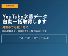 YouTube字幕データを自動一括取得します イメージ1