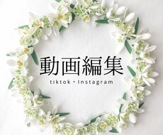 SNS用の動画制作します イメージ1