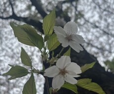 離婚、人間関係に悩む方をコーチングで元気にします イメージ1