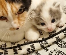 20代女性でなんでも相談乗ります イメージ1