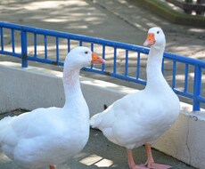 話し相手がいない方でもなんでも聞いてます イメージ1