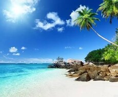ネットビジネス、マーケティング、教えます イメージ1