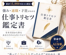 強み・適職・才能がわかるトリセツ鑑定書を作成します イメージ1