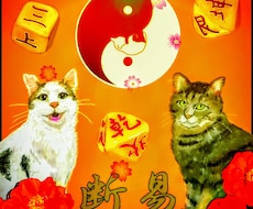 メッセージ鑑定で悩みから解放～！のお手伝いします