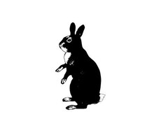 暗記（記憶）のこつをお教えし苦手意識を変えます 自分の経験から実践してきた暗記のノウハウ・こつをお教えします
