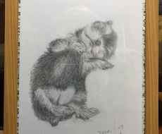 愛しいわんこさんの日常描きます イメージ1