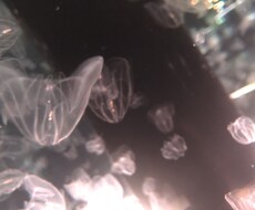 保育制作お手伝いします イメージ1