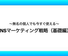 SNSマーケティングの基礎戦略がこれでわかります イメージ1