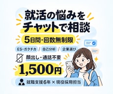 就活の悩みを5日間回数無制限で相談できます イメージ1