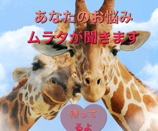 サレ妻❗️別居中プロ相談員ムラタがお悩みお聞きます イメージ1