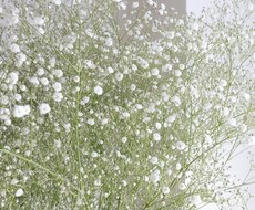繊細さんのお話聞きます イメージ1