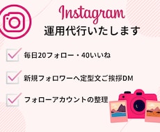 インスタのフォロワーアップ、代行します 手作業で質の高いファンを増やします。運営方法のアドバイス付き