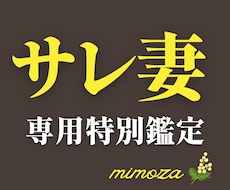 離婚か修復か？ 迷うあなたへ愛と未来を占います 不倫で苦しんだ私だからできる占い活用で心と現実の両面サポート