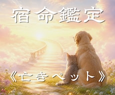 亡くなったペットの気持ちと魂のご縁を読み解きます イメージ1