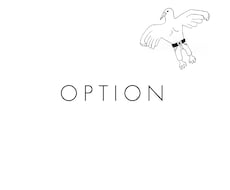 OPTIONサービスになります 10000円でもハイクオリティー