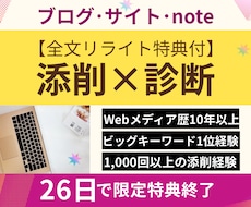 記事添削＋ブログ診断⭐︎アフィリエイト改善します 文章×アフィリエイト×SEO×収益化の問題点をダブル改善