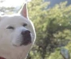 あなたのお気持ちに寄り添い的確なアドバイスをします イメージ1